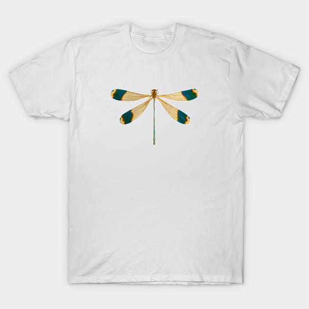 Dragonfly in colorful vintage design T-Shirt by Marccelus